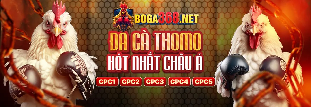 Cam kết dịch vụ hỗ trợ khách hàng 95win game